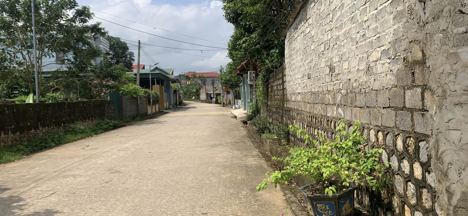 Đất nền Phú Lộc Nho Quan 320m² - Cơ hội đầu tư sinh lời!