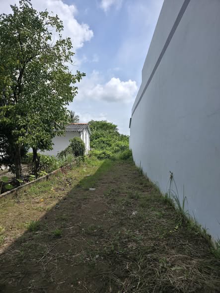 Đất nền hẻm 168 Phan Văn Chiêu 762m² giá 1.6 tỷ - Thích hợp xây nhà vườn!