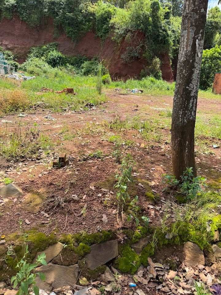 Đất nền thổ cư 250m² mặt đường QL14, thị trấn Kiến Đức, giá chỉ 2.2 tỷ - Cơ hội đầu tư tốt!