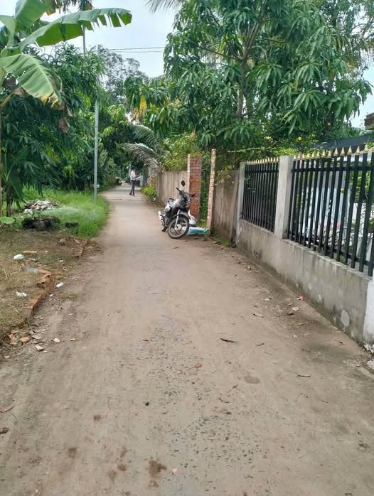 Đất CLN 522m² tại Ô Môn, Cần Thơ - Giá chỉ từ 2xx triệu, ô tô tới đất!