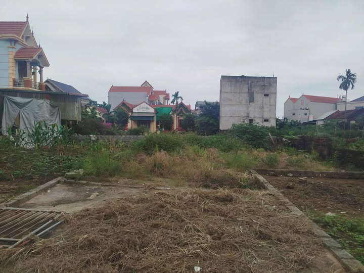 Đất nền Vân Tảo 100.5m² giá 2.2 tỷ - Bán gấp gần chợ Nội Thôn!