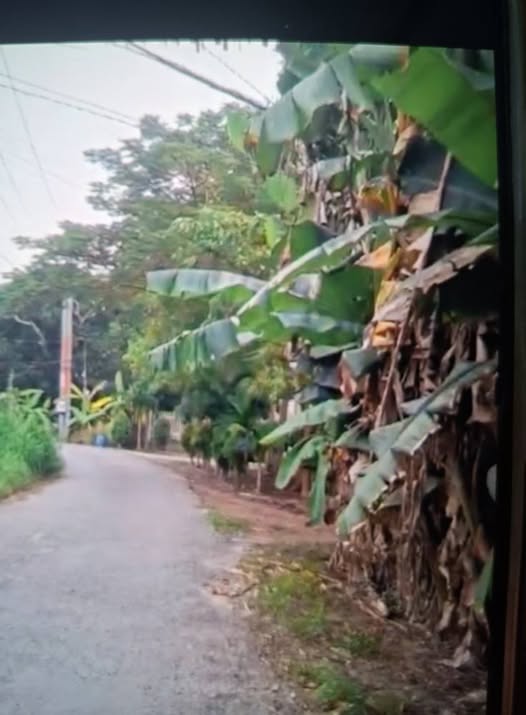 Nhà bán An Tịnh Trảng Bàng 255m² giá 2 tỷ - Nhà mới 80%, vào ở ngay!