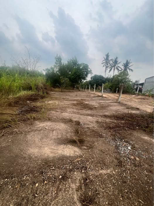 Đất thổ cư Gò Dầu Tây Ninh 243m² giá 900 triệu - Bán gấp giá tốt!