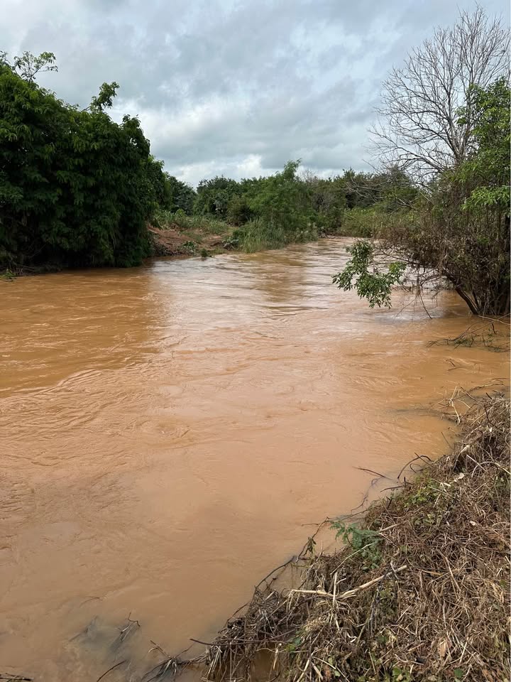 Đất nền 1,6ha xã Eahleo, Đắk Lắk - Sổ đỏ chính chủ, giá thỏa thuận!