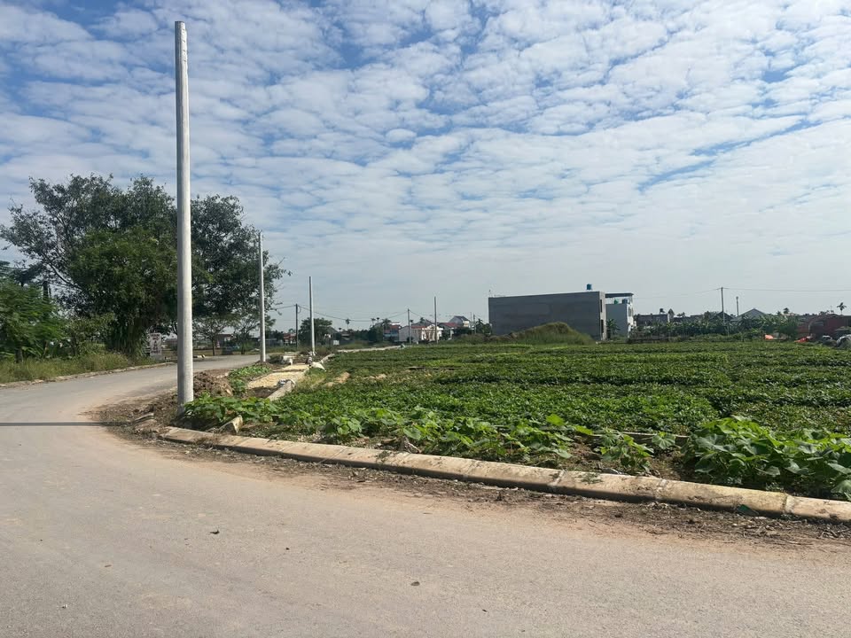 Đất nền Tiên Thanh - KCN Tiên Lãng 120m² giá 2 tỷ - Cơ hội đầu tư hấp dẫn!