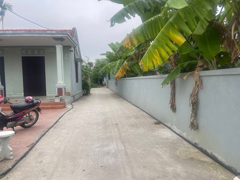 Đất nền liền kề TDP Chùa - Hoa Động 57m² giá 1 tỷ - Đầu tư sinh lời ngay!