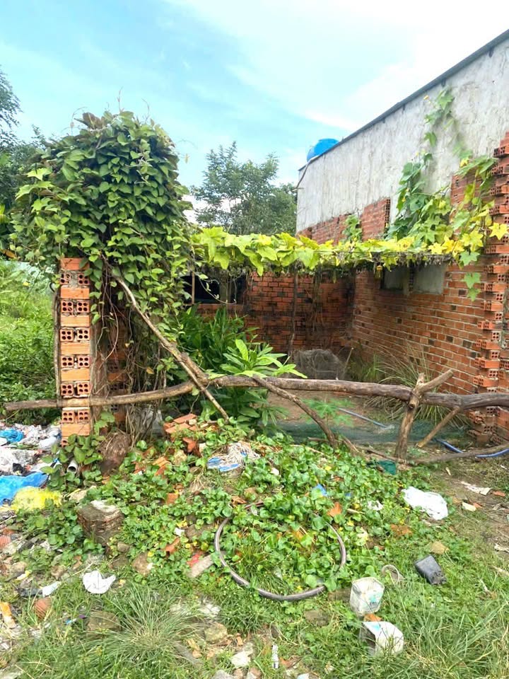 Đất nền Tân Phước Khánh 64m² giá 250 triệu - Cơ hội đầu tư hiếm có!