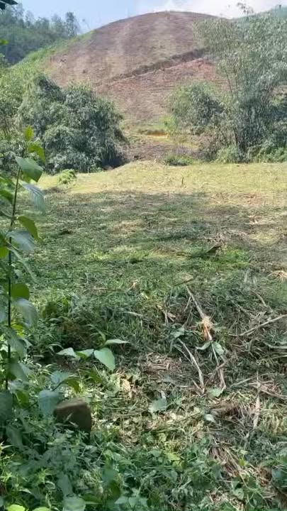 Đất nền 1.745m² tại Nật Sơn, Kim Bôi giá chỉ 600 triệu - Sổ đỏ chính chủ!