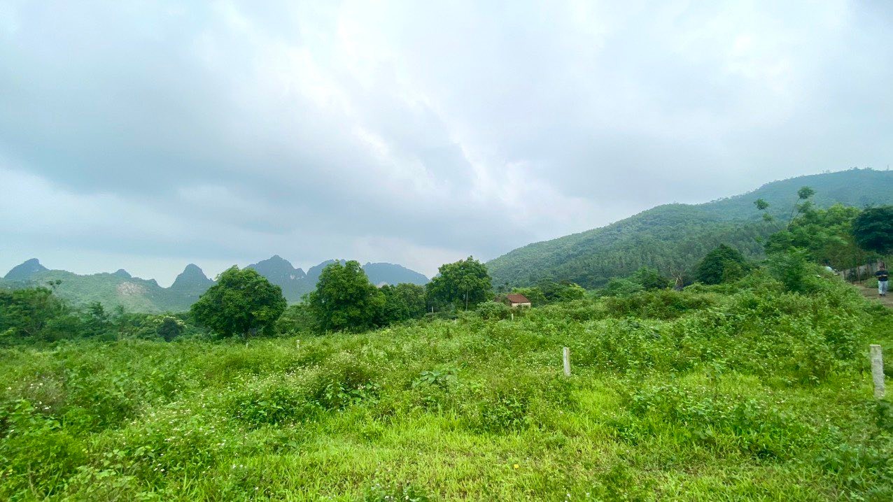 Đất nền xã Liên Sơn, Lương Sơn, Hòa Bình 1222m² - Tiềm năng nghỉ dưỡng tuyệt vời!