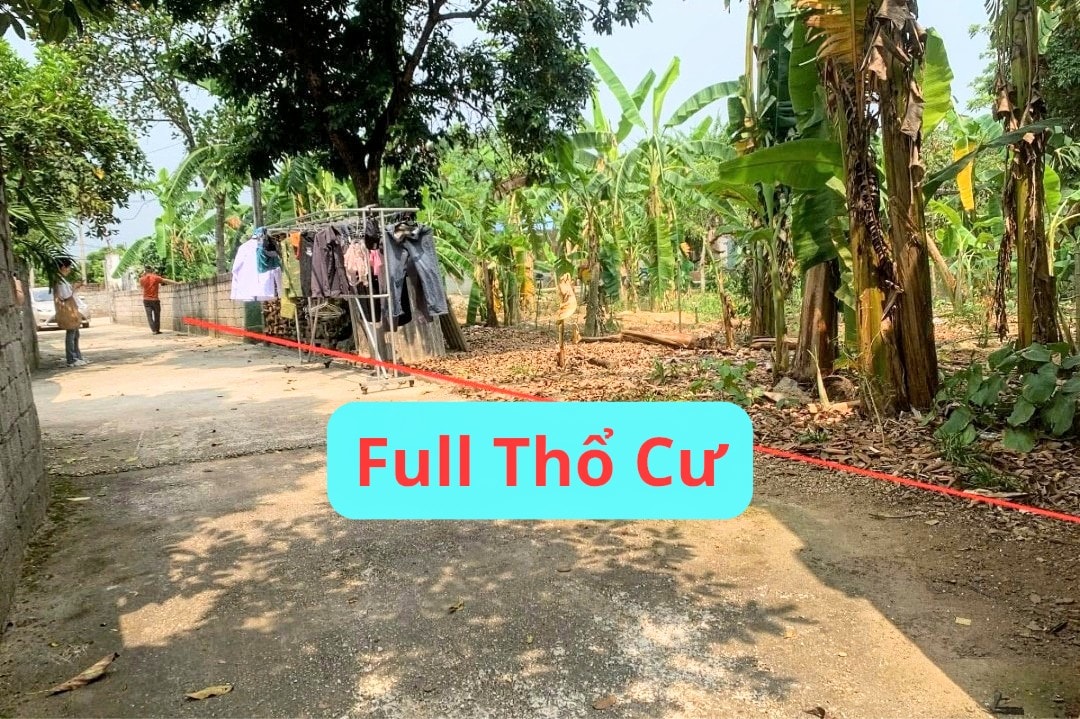 Đất nền xã Thanh Cao, Lương Sơn, Hòa Bình 212,9m² - Pháp lý rõ ràng, giá thỏa thuận!