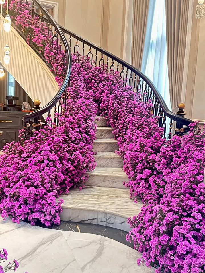 Nhà mặt tiền Nguyễn Phước Tần Cẩm Lệ 100m² giá 10 tỷ - Tiềm năng sinh lời cao!