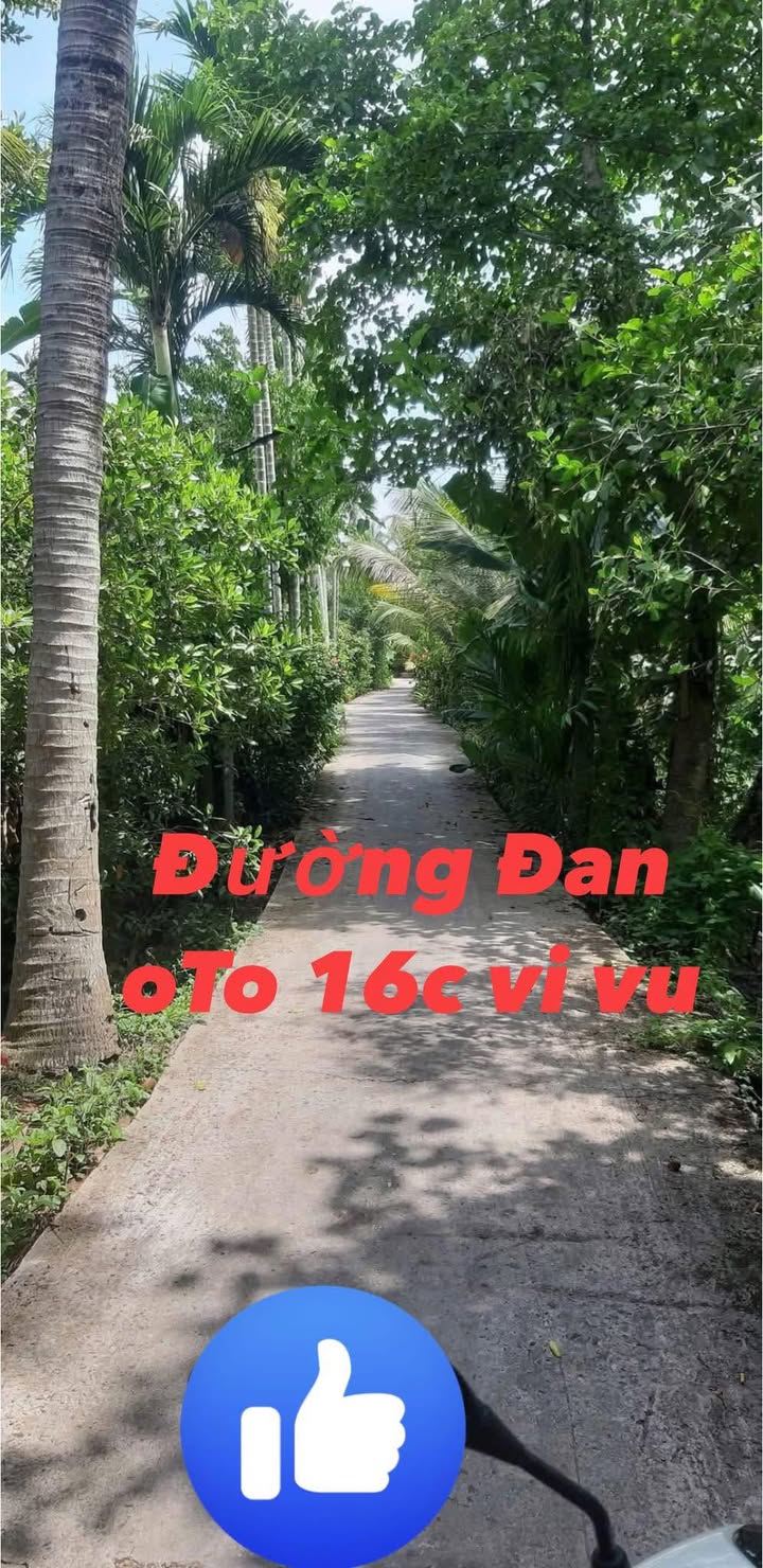 Đất nền 156m² xã Thạnh Lộc, huyện Vĩnh Thạnh - Giá chỉ 330 triệu VND!