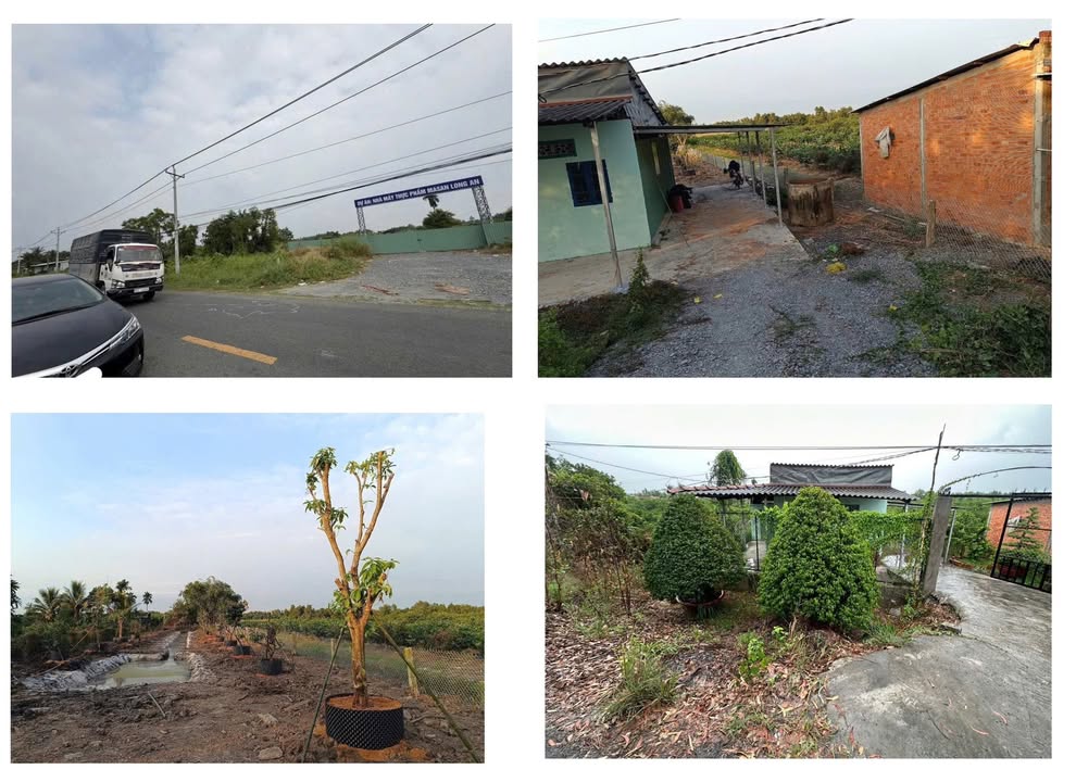 Nhà vườn Thạnh Hòa, Bến Lức 1007m² giá 1.7 tỷ - View sông thoáng mát!