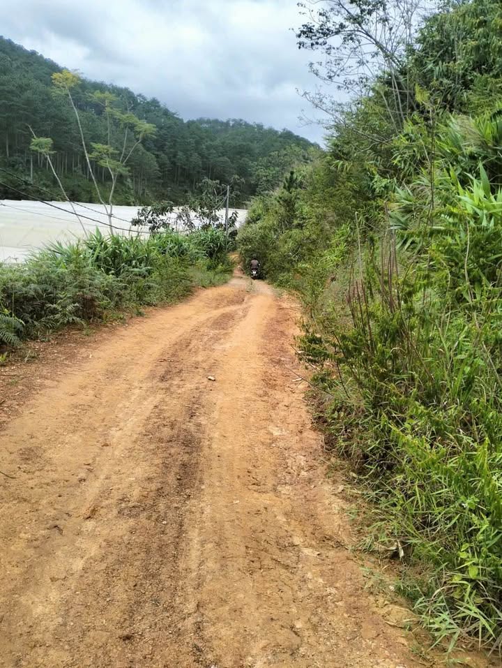 Đất chính chủ phường LangBiang - Đà Lạt 3240m² giá 9.6 tỷ - View đẹp, vị trí lý tưởng!