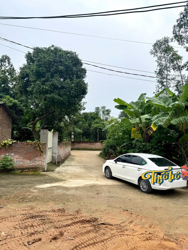 Đất nền Dữu Lâu, Việt Trì 102m² giá 1.2 tỷ - Cơ hội đầu tư hiếm có!