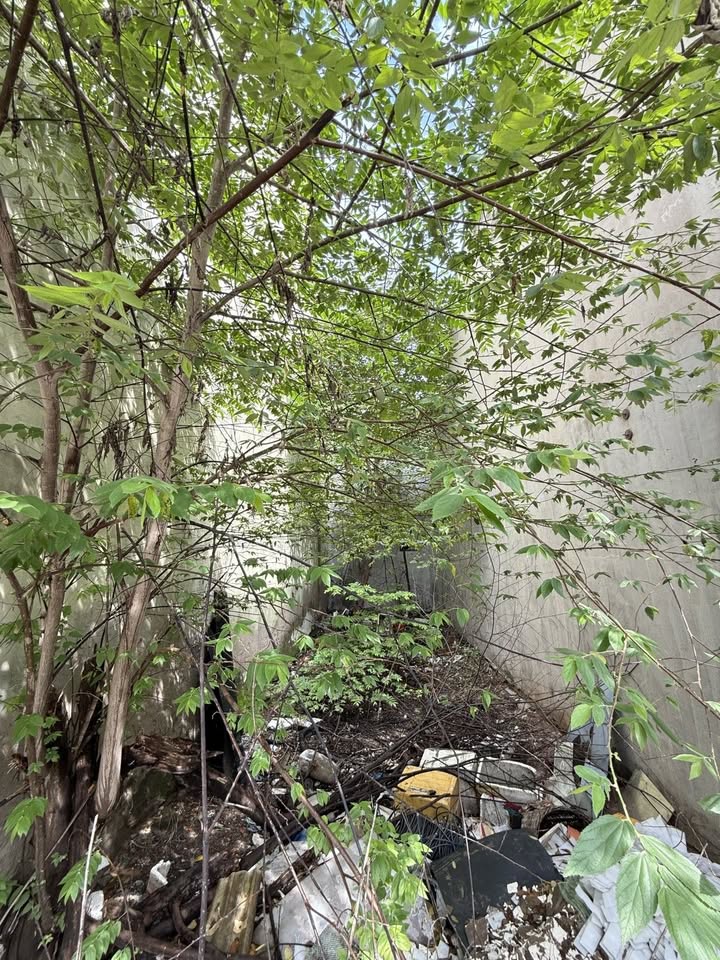 Đất nền Tân Kỳ Tân Quý 60m² giá 6.4 tỷ - Đầu tư sinh lời tại Tân Phú!