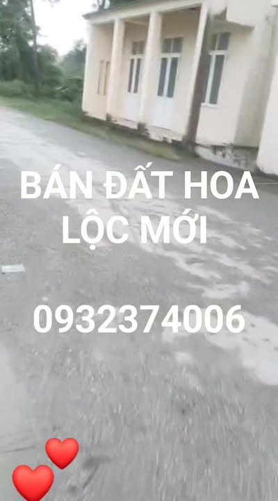 Đất nền Hậu Lộc Thanh Hóa 300m² - Đường container tránh nhau