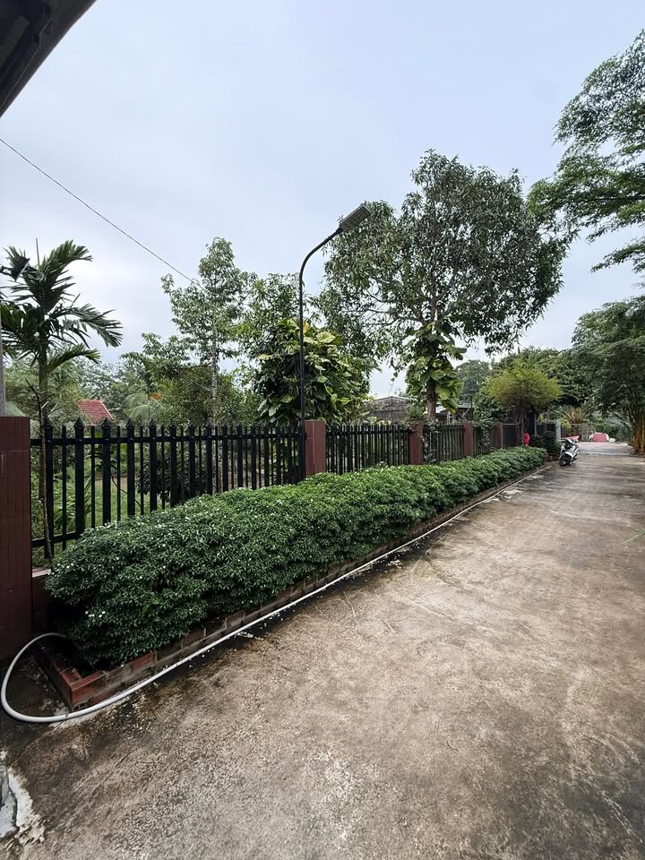 Farm Mỹ Khánh 1455m² giá 4.999 tỷ - Nghỉ dưỡng lý tưởng ô tô tới nơi!