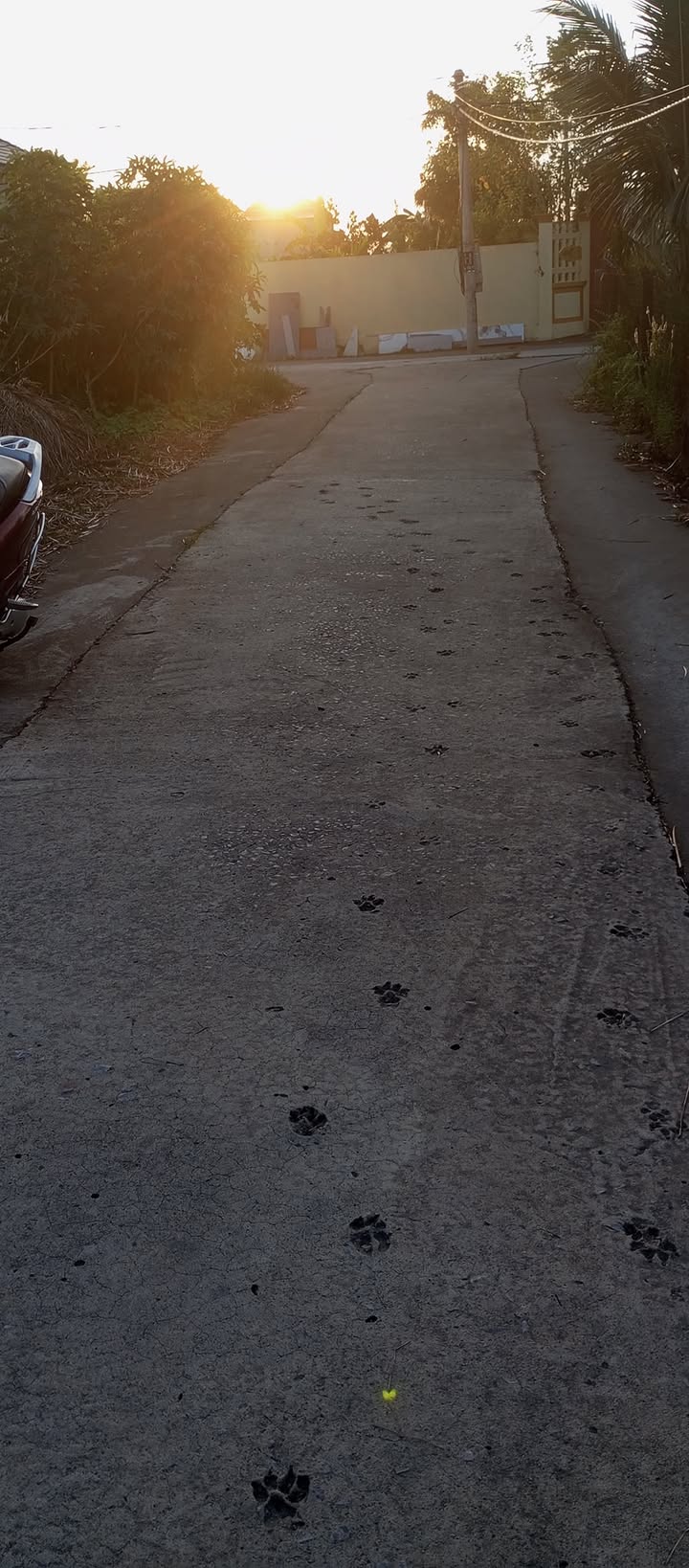 Đất nền Nga Tân 160m² giá chỉ 4xx triệu - Cơ hội đầu tư tuyệt vời!