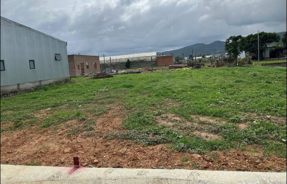 Đất thổ cư Phú Hội 285m² giá 1.299 tỷ - Đầu tư sinh lời ngay!