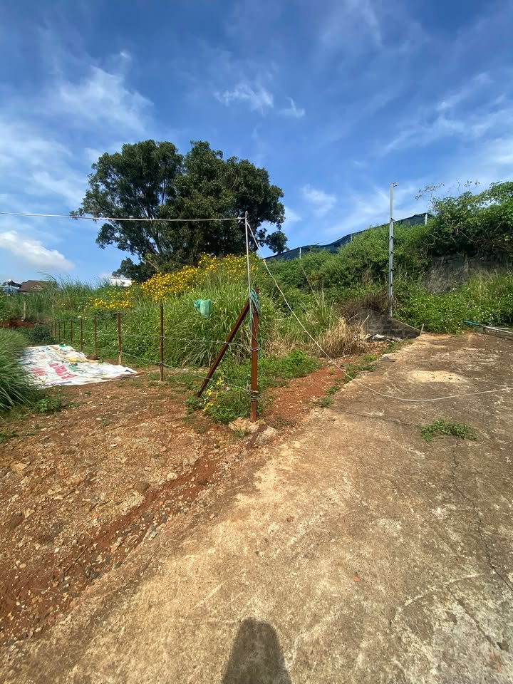 Đất Hẻm Nguyễn Thiện Thuật, Liên Nghĩa 201m² giá 1.75 tỷ - Đầu tư sinh lời ngay!