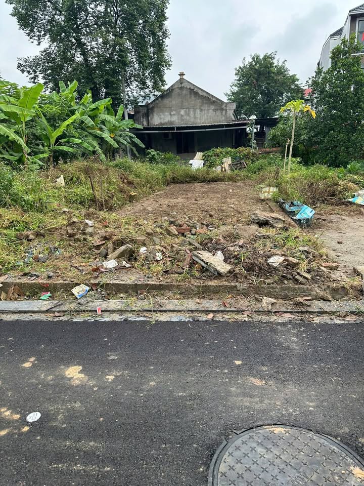 Lô đất trục chính Lương Quy, Đông Anh, 54.5m² - Phong thủy đẹp, đầu tư sinh lời!