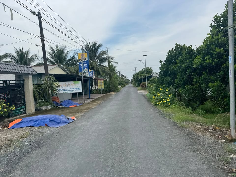 Đất mặt tiền đường nhựa Tân Thành, 540m² giá 900 triệu - Kinh doanh thuận lợi!