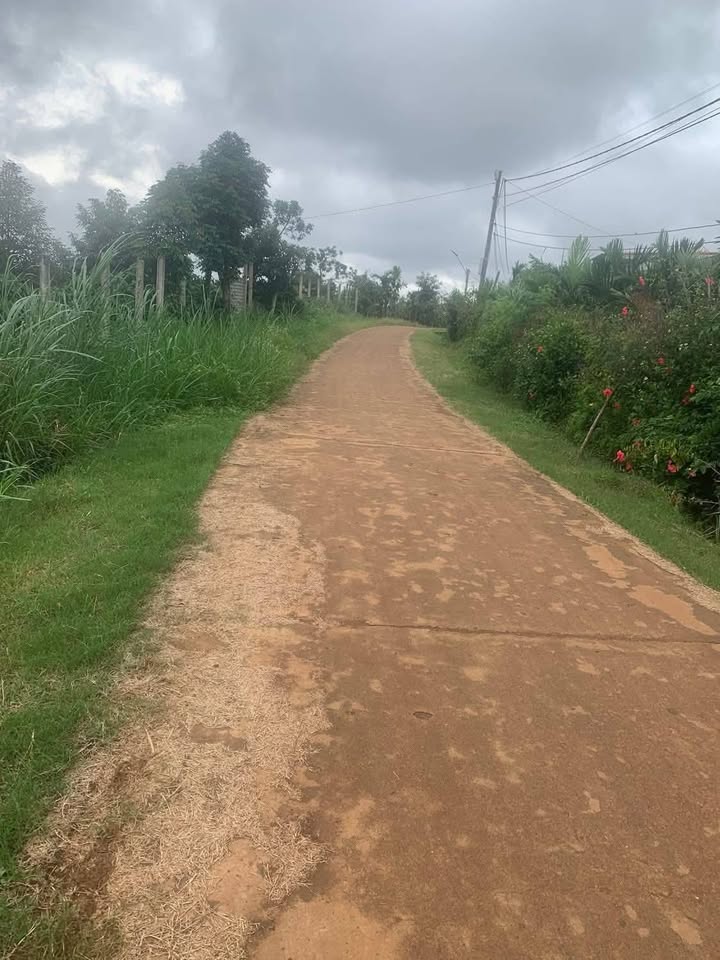 Đất nền xã Phú Xuân 200m² giá 200 triệu - Đầu tư sinh lời ngay lập tức!