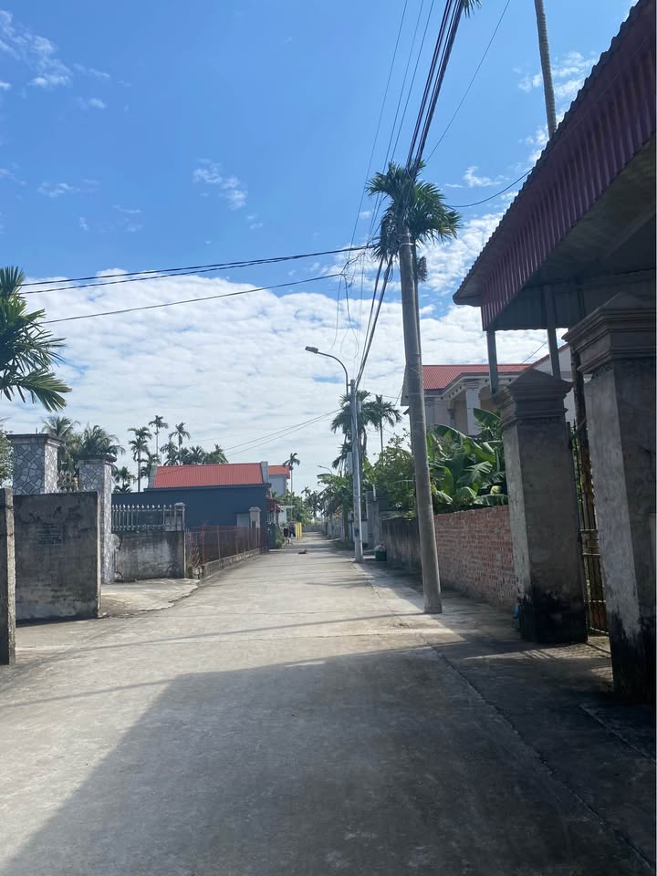 Đất nền Thanh Lương, Vĩnh Bảo 100m² giá 650 triệu - Cơ hội đầu tư hấp dẫn!