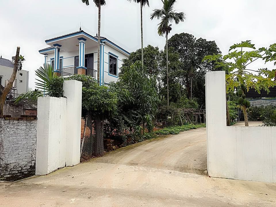 Đất nền Hợp Châu, Tam Đảo 101m² giá 800 triệu - Cơ hội đầu tư hấp dẫn!