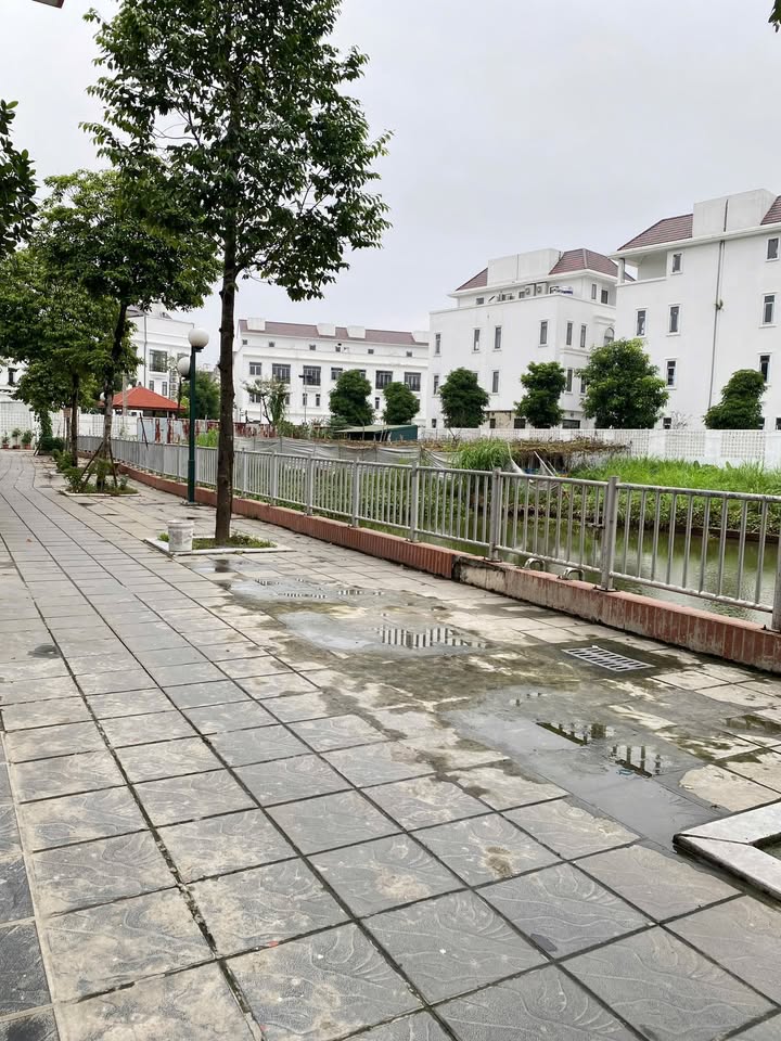 Đất thổ cư Tân Hồng 76m² giá 3 tỷ - Sổ đỏ chính chủ, khu dân cư thân thiện!