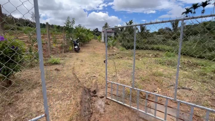 Đất Phú Lộc Krông Năng 1650m² chỉ 700 triệu - Cơ hội đầu tư tuyệt vời!