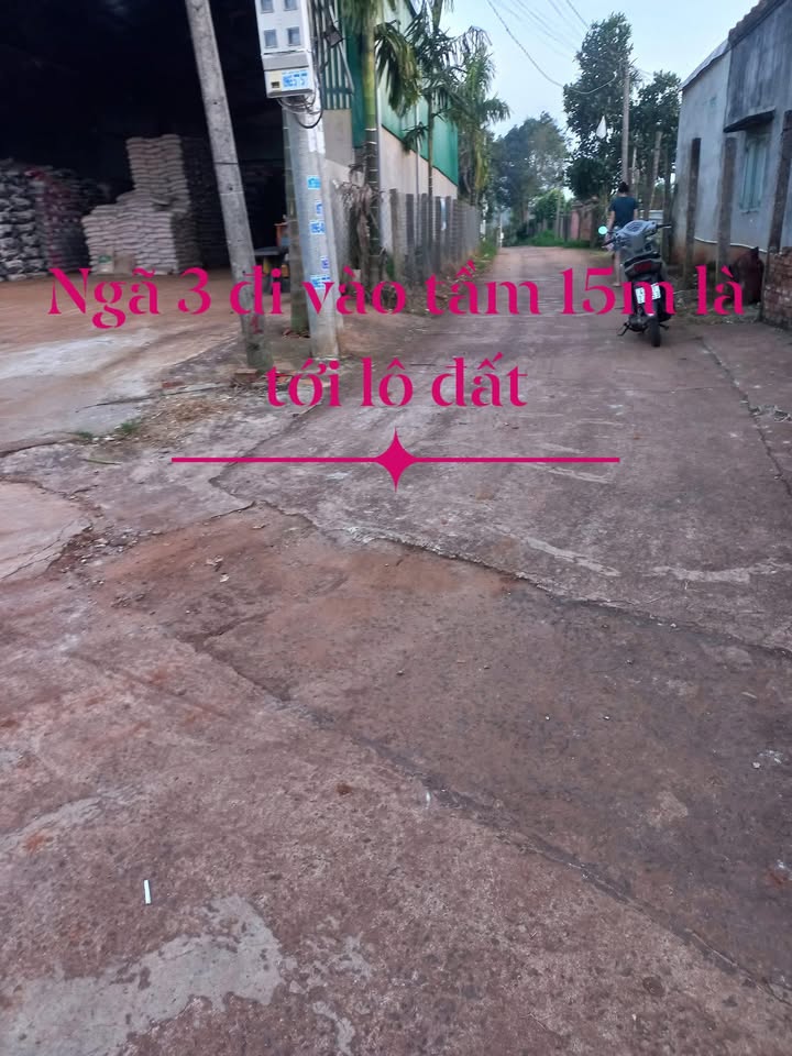 Lô đất Pơng Drang 266m² giá 4.256 tỷ - Cơ hội đầu tư hấp dẫn!