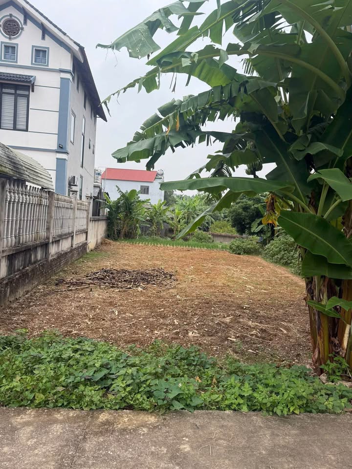 Đất nền phường Trung Thành 300m² giá 1 tỷ - Cơ hội đầu tư hấp dẫn!