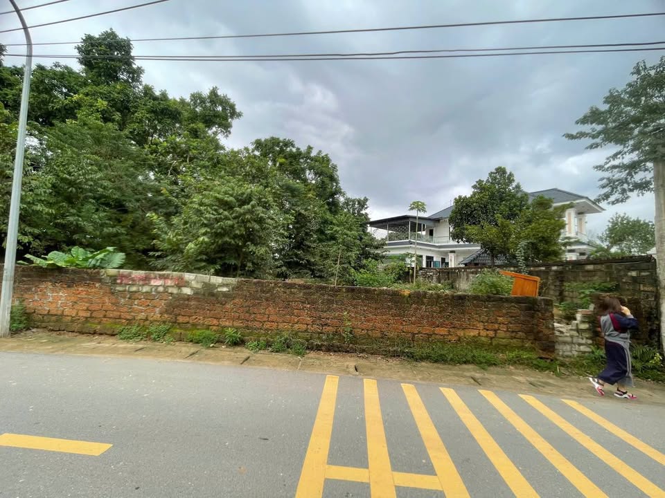 Đất thổ cư Cổ Đông Sơn Tây 390m² giá tốt - Đầu tư sinh lời ngay!