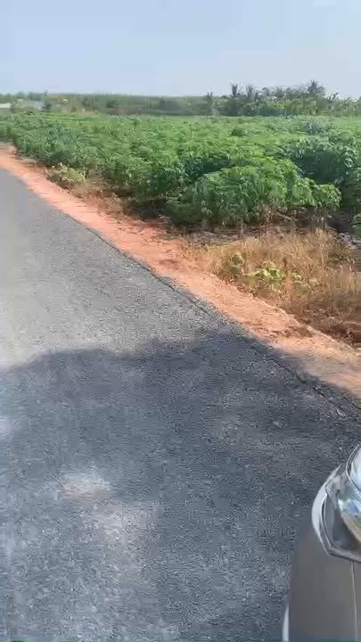 Đất nền 18.000m² mặt tiền 150m tại Thạnh Tây, Tân Biên - Sổ hồng chính chủ giá 13.5 tỷ!