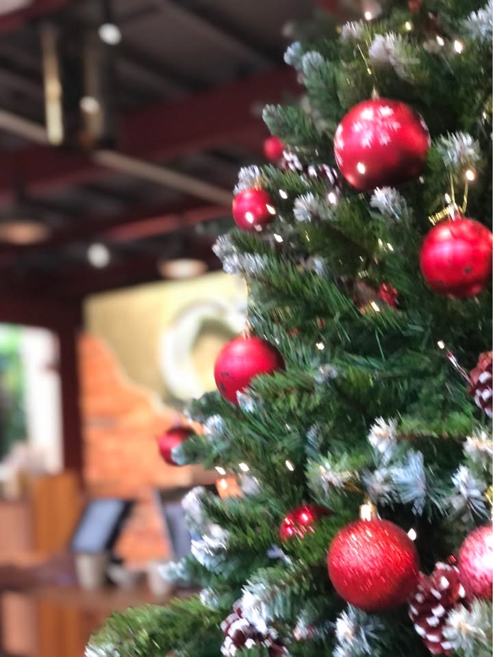 Căn hộ 1 phòng ngủ Chung cư Ecolife Quy Nhơn 4 triệu - Nội thất cơ bản, vào ở ngay!