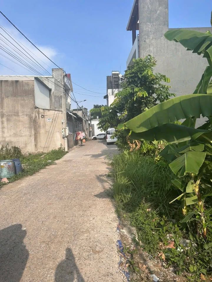 Đất thổ cư 75m² hẻm 183 Tân Hạnh, Biên Hòa - Giá chỉ 1.85 tỷ!