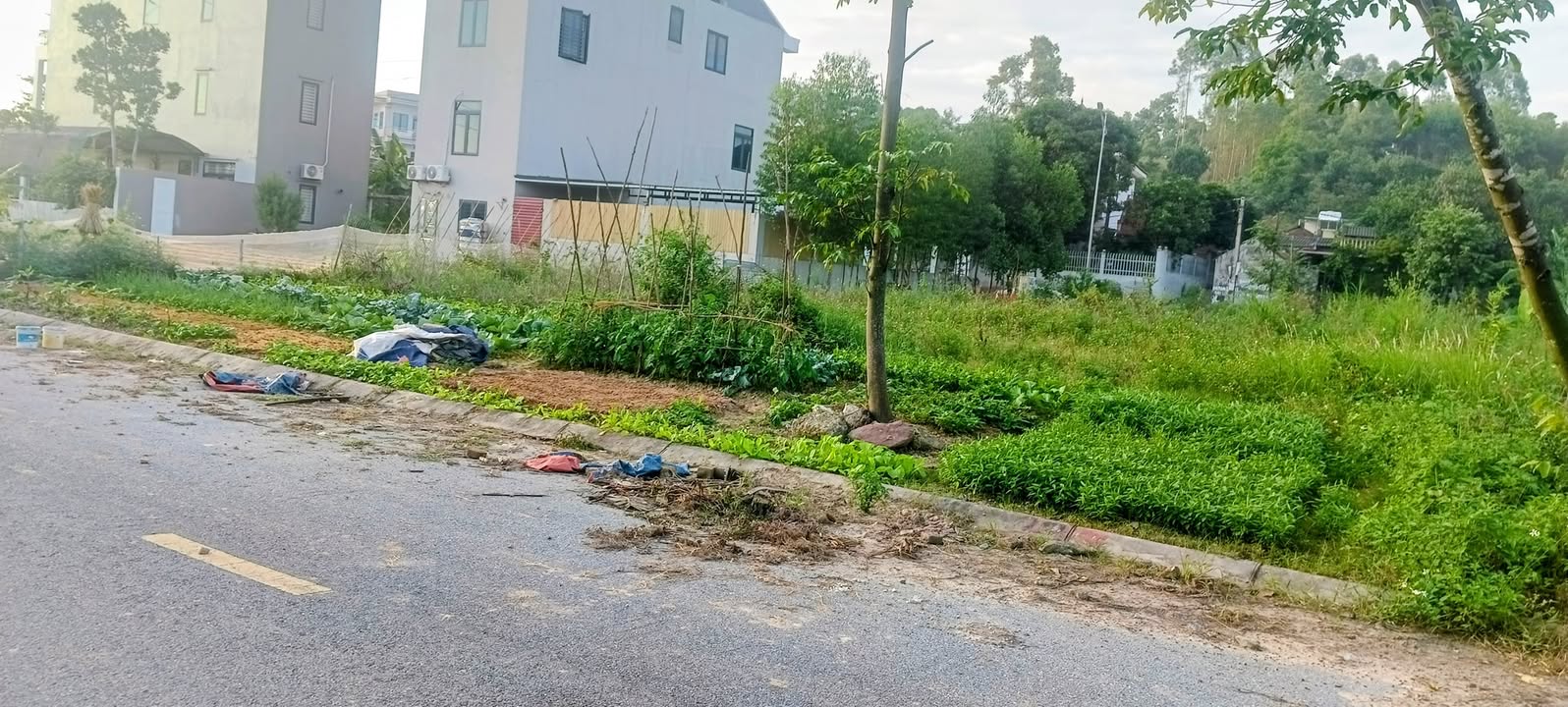 Đất nền Dĩnh Trì Bắc Giang 75m² giá 2.6 tỷ - Cơ hội đầu tư hấp dẫn!