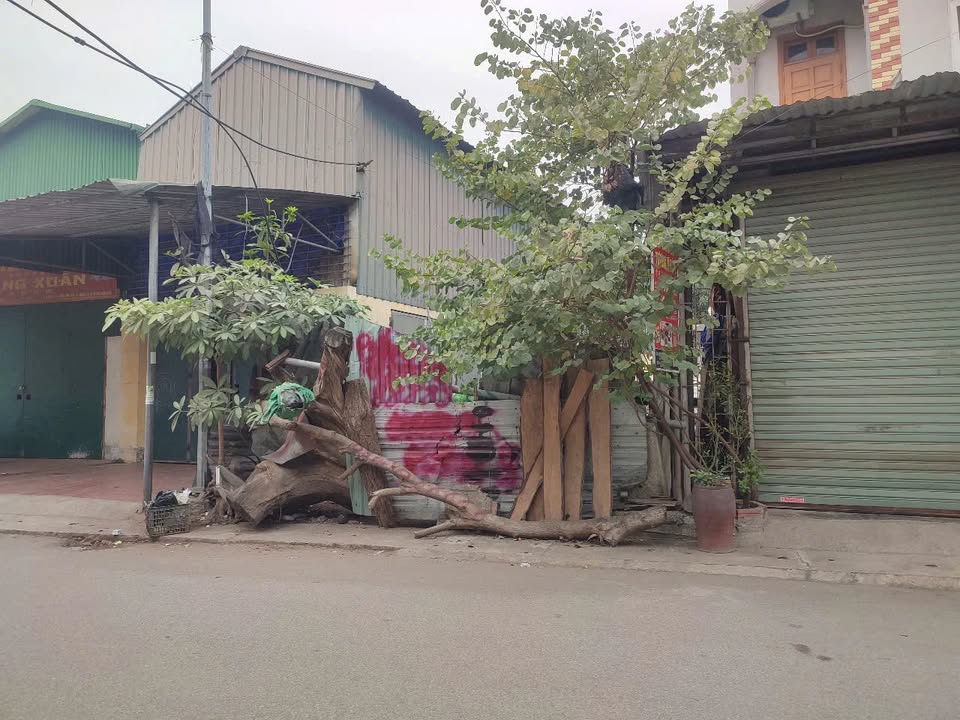 FrontHouse Kim Thiều Từ Sơn 108m² giá 5 tỷ - Đường rộng, kinh doanh sầm uất!