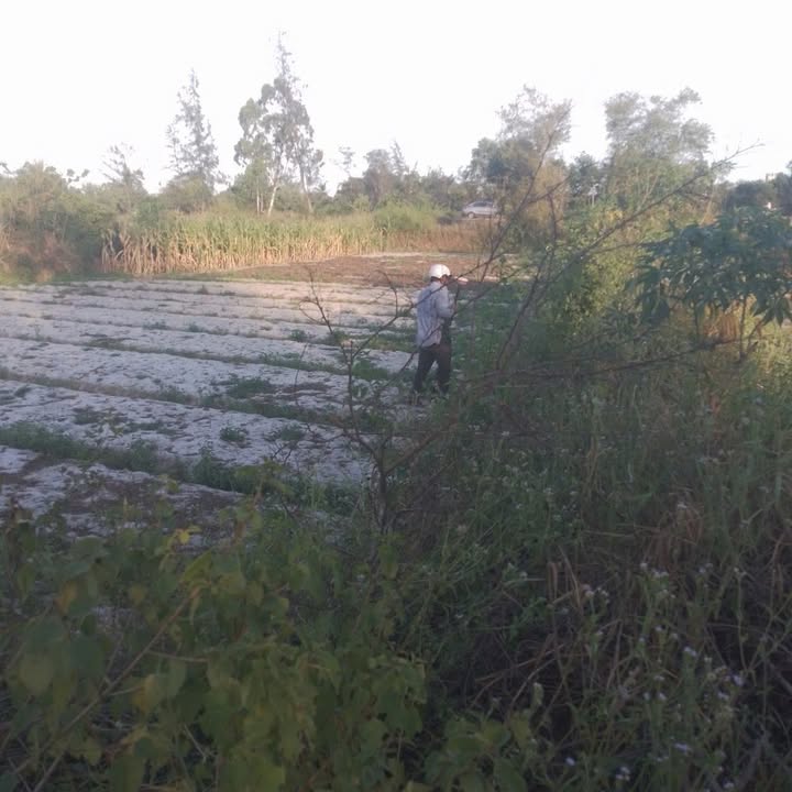 Đất nền biển Bình Triều, Thăng An 202m² giá chỉ 49 triệu - Cơ hội đầu tư hấp dẫn!