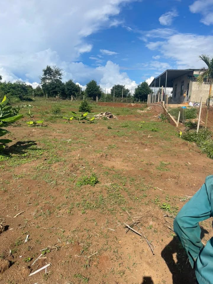 Đất thổ cư Hẻm Hoàng Quốc Việt 600m² giá 1.1 tỷ - Vị trí đẹp gần quốc lộ 14!