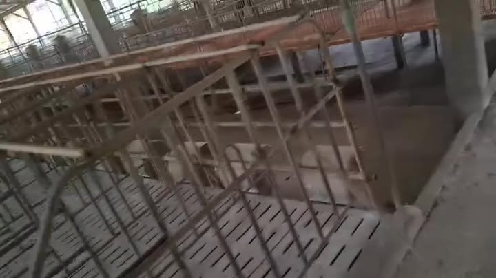 Lô đất trang trại Kiến Tường 7000m² giá 2 tỷ - Tiềm năng đầu tư lớn!