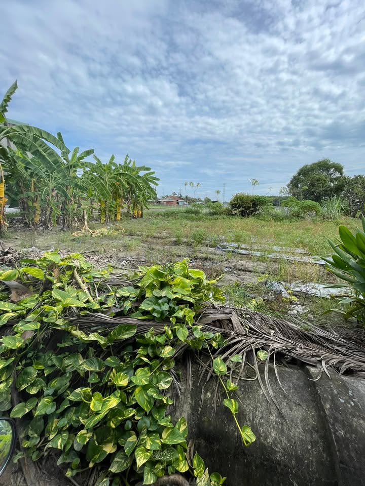 Đất nền phường Tân Bình Dĩ An 86m² giá 1.6 tỷ - Cơ hội đầu tư tuyệt vời!