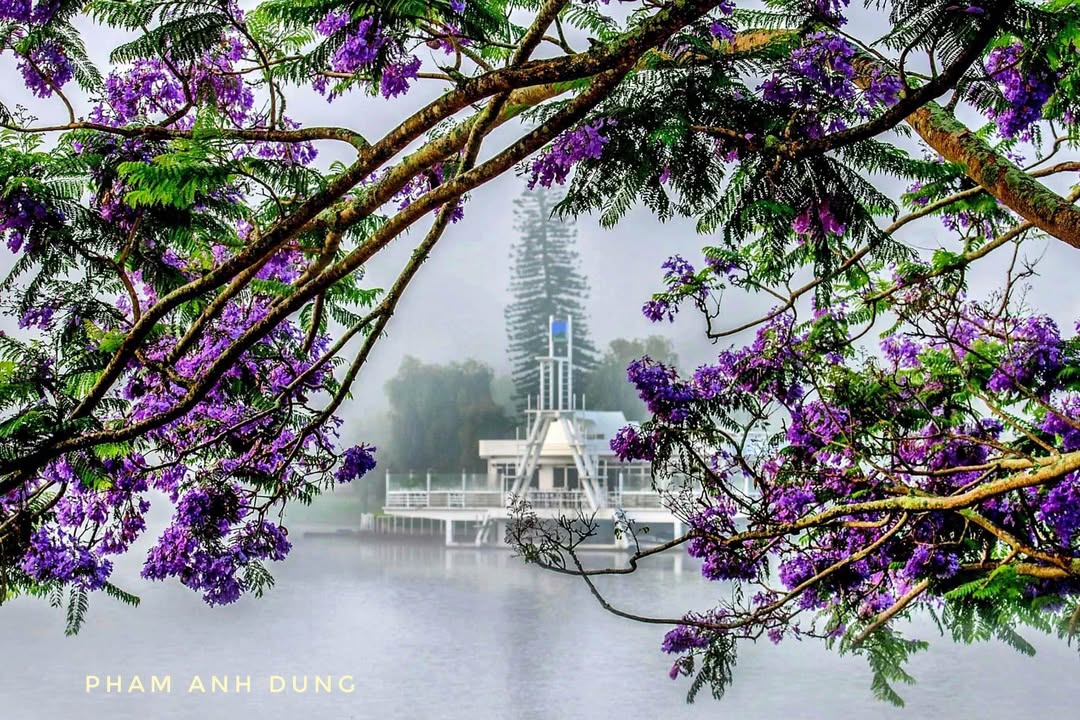 Biệt thự cổ 2 mặt tiền Lý Tự Trọng Đà Lạt 873m² giá 100 tỷ - Cơ hội đầu tư vàng!