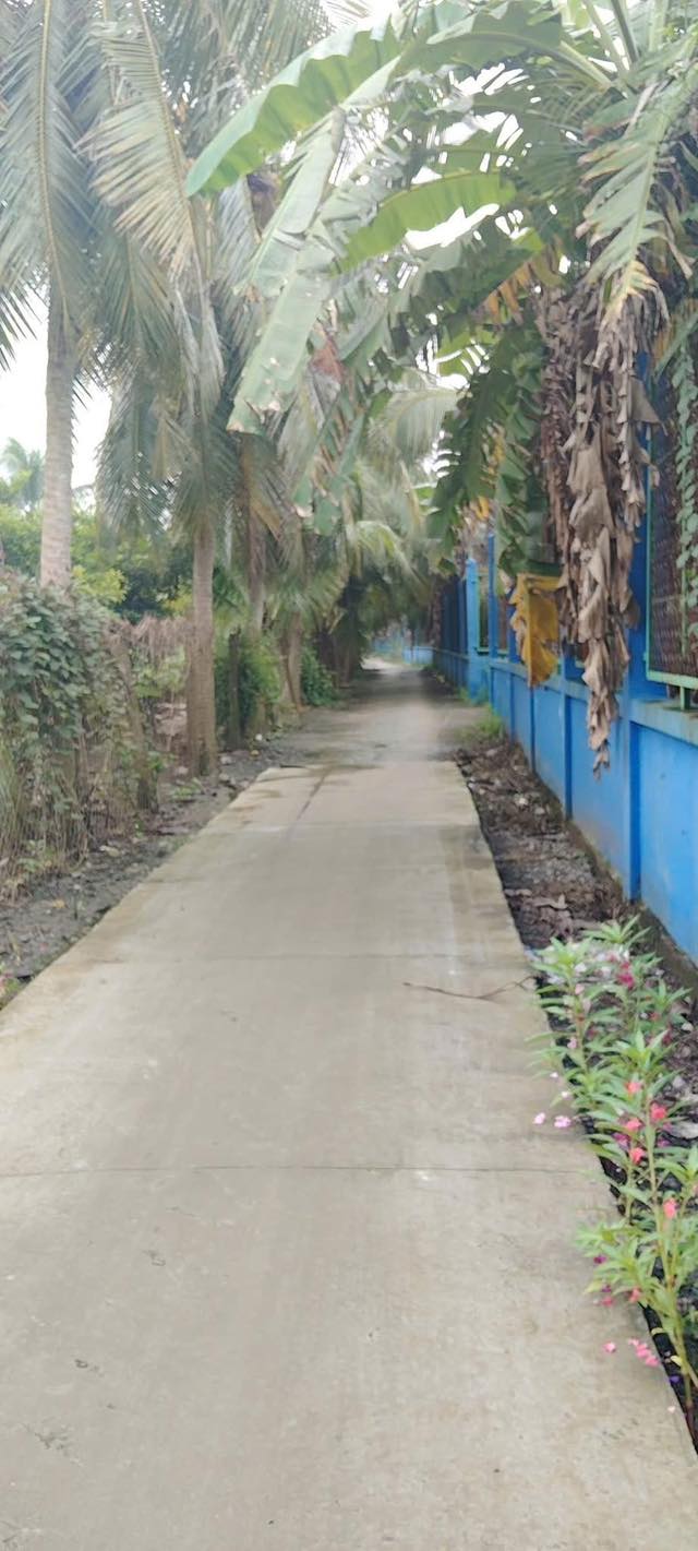 Đất vườn 570m² tại Kim Sơn, Đồng Tháp - Giá 600 triệu - Thích hợp canh tác!