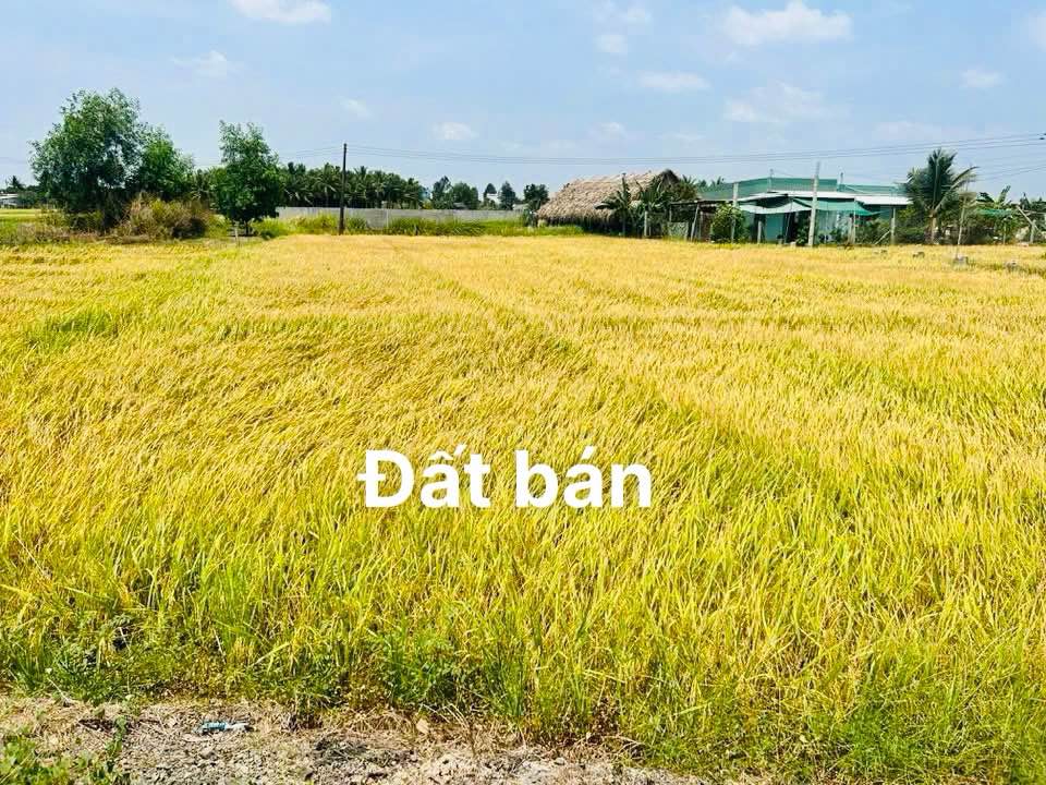 Đất thổ cư 1052m² mặt tiền đường nhựa tại Thạnh Đức, Bến Lức - Giá 2.8 tỷ