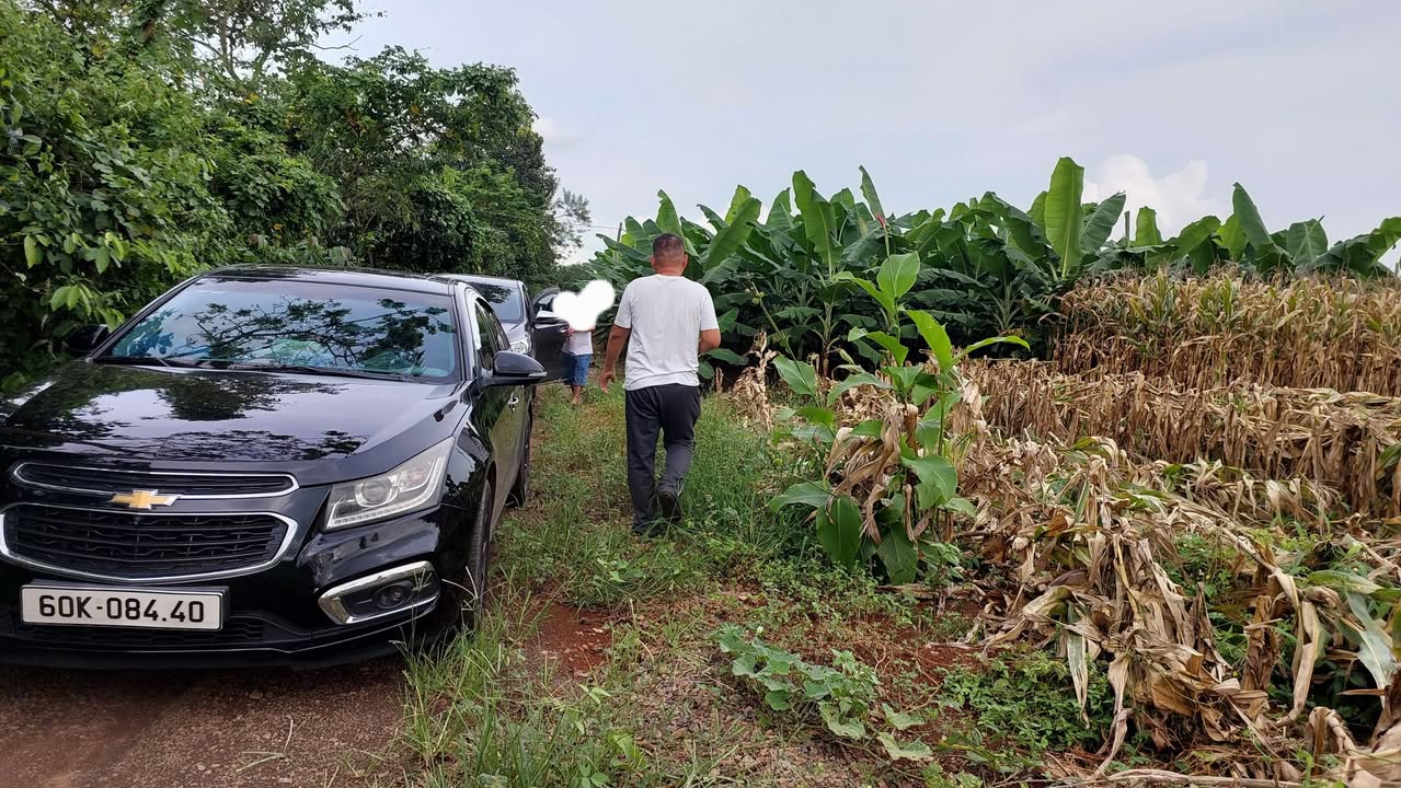 Đất nền Xuân Tây Cẩm Mỹ 1000m² giá thỏa thuận - Đầu tư sinh lời hấp dẫn!