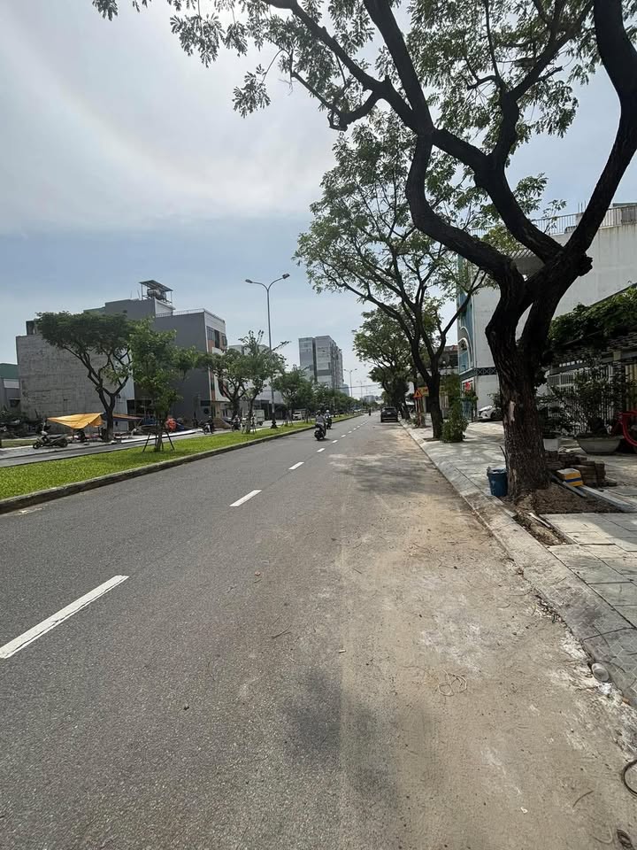 Đất nền mặt tiền đường Trần Thánh Tông 100m² giá 8.9 tỷ - Cơ hội đầu tư tuyệt vời!