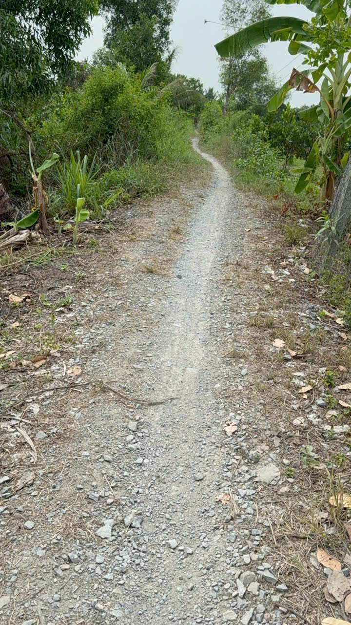 Đất vườn Ấp Tân Hoà, xã Tân Hội, 1060m² giá 1,2 tỷ - Cơ hội đầu tư tuyệt vời!